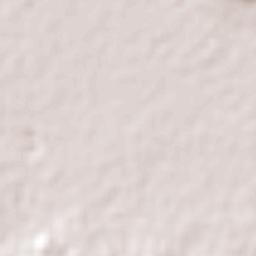 Los Reyes Acaquilpan Terrain Map