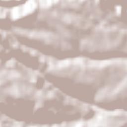 Ignacio Manuel Altamirano Terrain Map