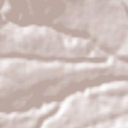 Guadalupe Zaragoza Terrain Map