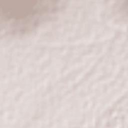 El Carmen Xalpatlahuaya Terrain Map