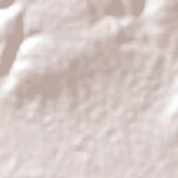 Benito Juárez Terrain Map