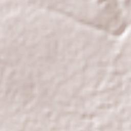 Colonia Ignacio Allende Terrain Map