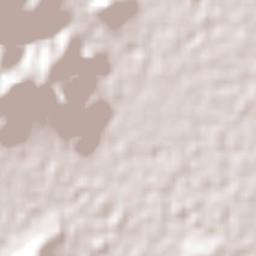 Oriental Terrain Map