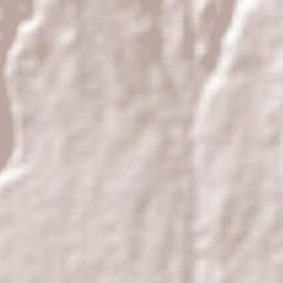 Cuauhtémoc Terrain Map