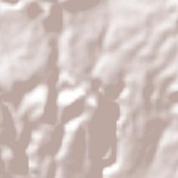 Emiliano Zapata Terrain Map