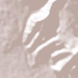 San Juan Xoconusco Terrain Map