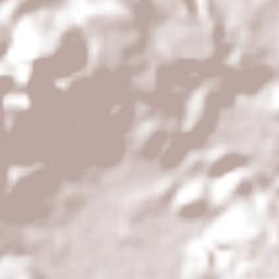 San Martín Obispo (San Martín San Pedro) Terrain Map