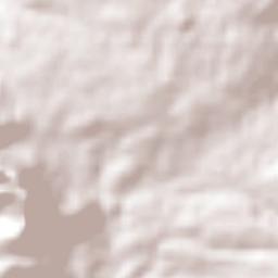 Amanalco de Becerra Terrain Map