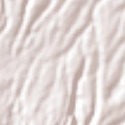 San Nicolás Amealco Terrain Map