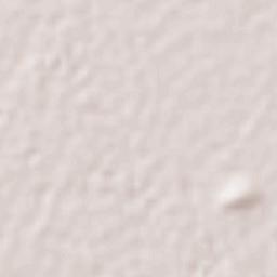 San Miguel Totoltepec Terrain Map