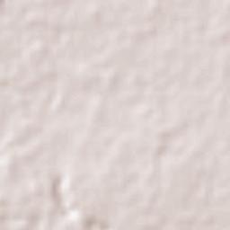 Coyoacán Terrain Map