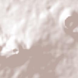 Emiliano Zapata Terrain Map