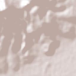 Ixtapaluca Terrain Map