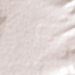 San Francisco Acuautla Terrain Map