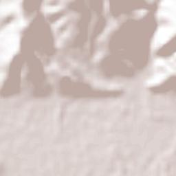 La Trinidad Tenexyecac Terrain Map