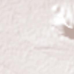 Guadalupe Tlachco Terrain Map