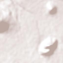 San José Teacalco Terrain Map