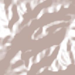 San Antonio Xoquitla Terrain Map