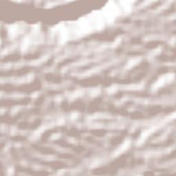 Piedra Parada Terrain Map