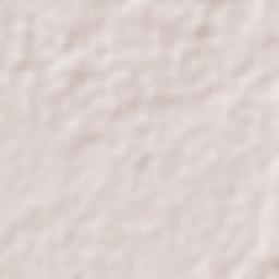 Presidente Juárez Terrain Map