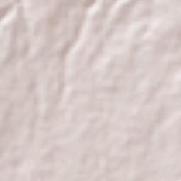 El Trapiche Terrain Map