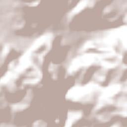 San Lucas Texcaltitlán Terrain Map