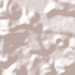 San Simón de la Laguna Terrain Map