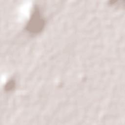 Ejido San Lorenzo Cuauhtenco Terrain Map