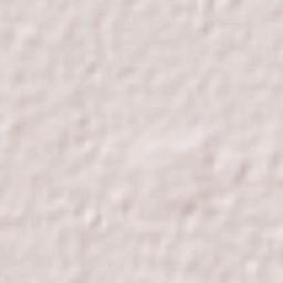 Colonia Isidro Fabela Terrain Map