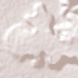 Ocoyoacac Terrain Map