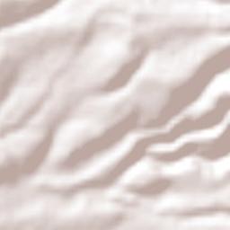 San Martín Cuautlalpan Terrain Map