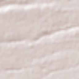 Tlacotepec de José Manzo Terrain Map