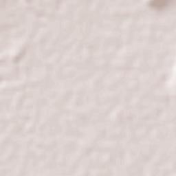 Santa Justina Ecatepec Terrain Map