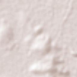 Santa Inés Tecuexcomac Terrain Map