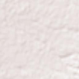 San Bartolomé Cuahuixmatlac Terrain Map