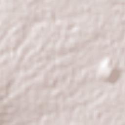 Los Pilares Terrain Map