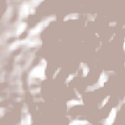 Ignacio Zaragoza Terrain Map