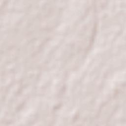 Ciudad de Villa de Álvarez Terrain Map