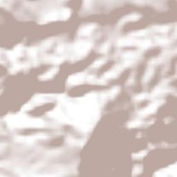 Benito Juárez Terrain Map