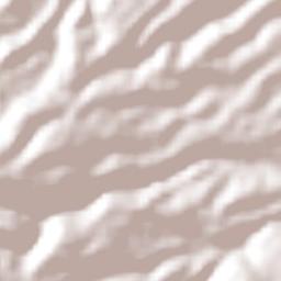 El Contadero de Matamoros Terrain Map