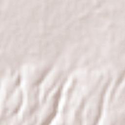 San Antonio Buenavista Terrain Map