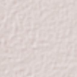 Santa María la Asunción Terrain Map