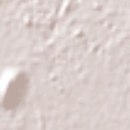 Moyotzingo Terrain Map