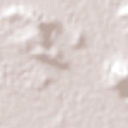 San Rafael Tenanyecac Terrain Map