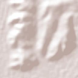 San Bartolomé Tenango Terrain Map