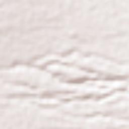 Acxotla del Monte Terrain Map