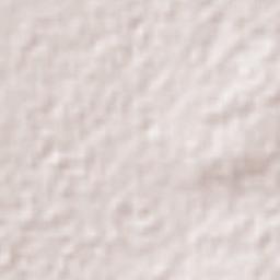 Máximo Serdán Terrain Map