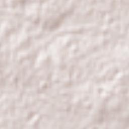 Colonia Obrera Terrain Map