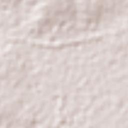 San José Chiapa Terrain Map