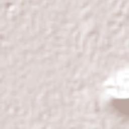 Zacatepec Terrain Map